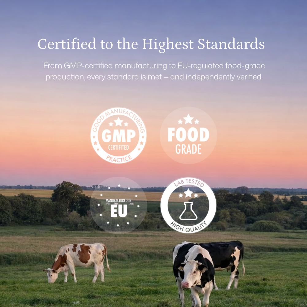 Bovine Collagen